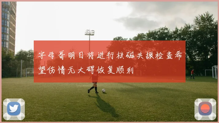 字母哥明日将进行核磁共振检查希望伤情无大碍恢复顺利