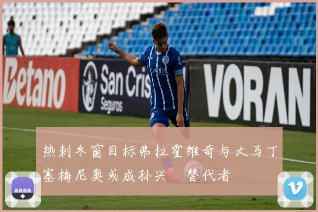 热刺冬窗目标弗拉霍维奇与大马丁塞梅尼奥或成孙兴慜替代者