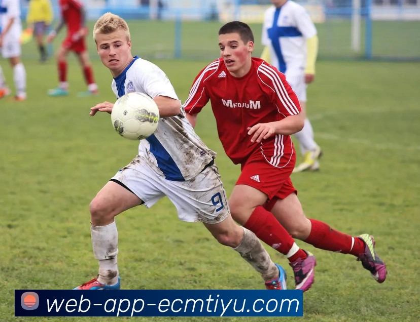 易倍体育APP 封面图